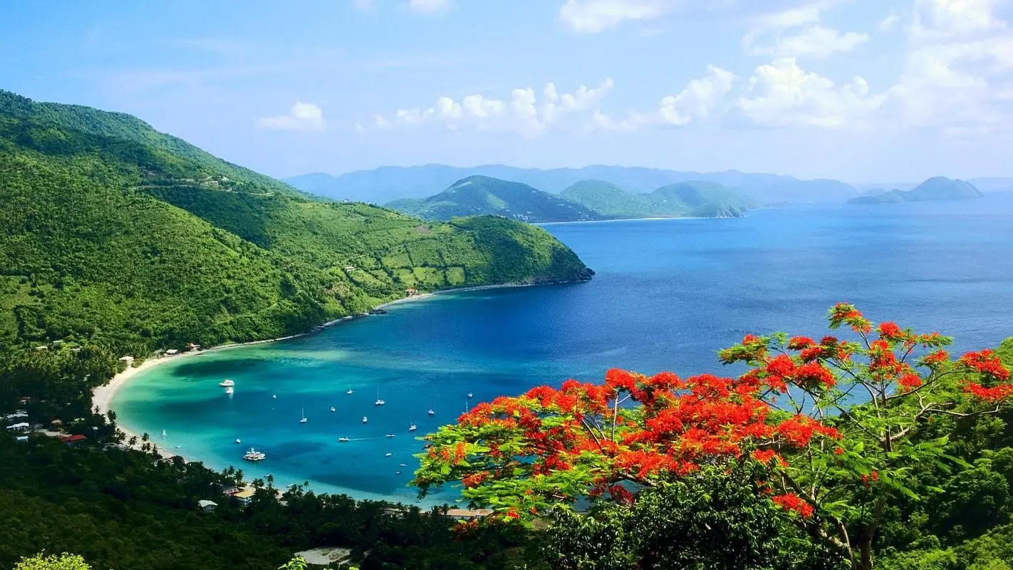 高精度高标准智能